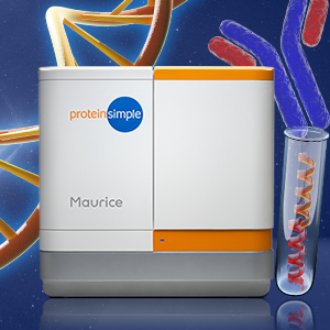 Webinar: Innovative CE Solutions for Size and Charge with ProteinSimple