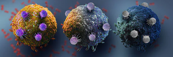 Cancer cell and T cells changing color as they undergo increasing levels of hypoxia, illustrated by red oxygen molecules.